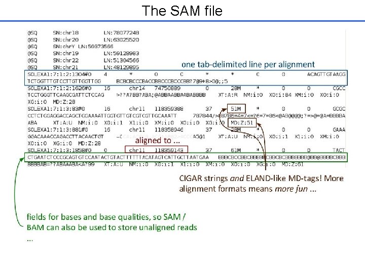 Previous Lecture NextGeneration DNA Sequencing Technology This Lecture