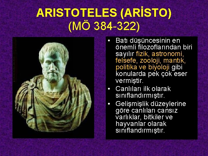 ARISTOTELES (ARİSTO) (MÖ 384 -322) • Batı düşüncesinin en önemli filozoflarından biri sayılır fizik,