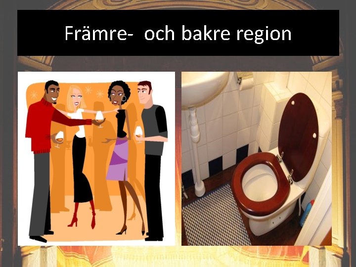 Främre- och bakre region 