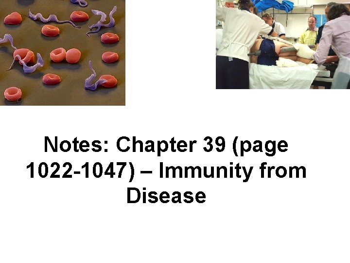 Notes: Chapter 39 (page 1022 -1047) – Immunity from Disease 