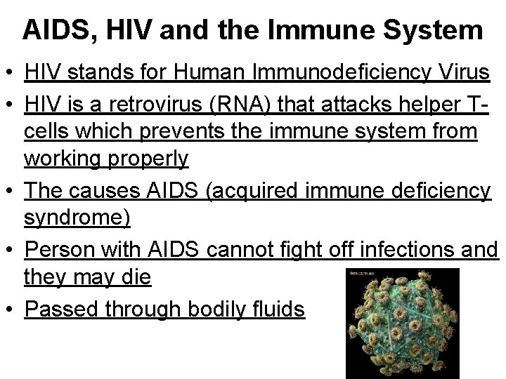 AIDS, HIV and the Immune System • HIV stands for Human Immunodeficiency Virus •