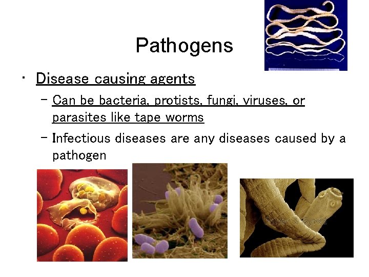 Pathogens • Disease causing agents – Can be bacteria, protists, fungi, viruses, or parasites
