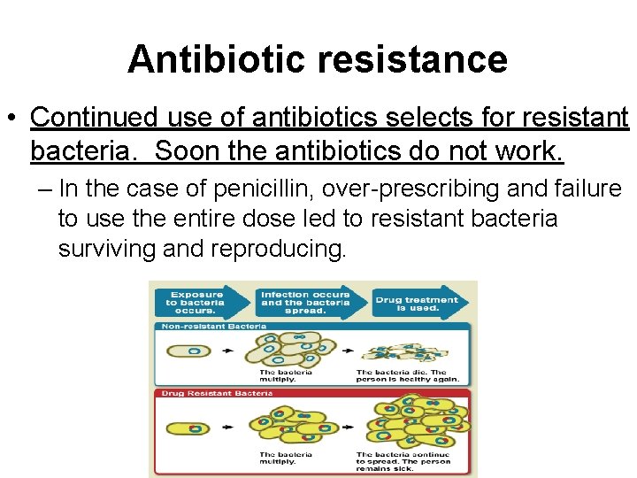 Antibiotic resistance • Continued use of antibiotics selects for resistant bacteria. Soon the antibiotics