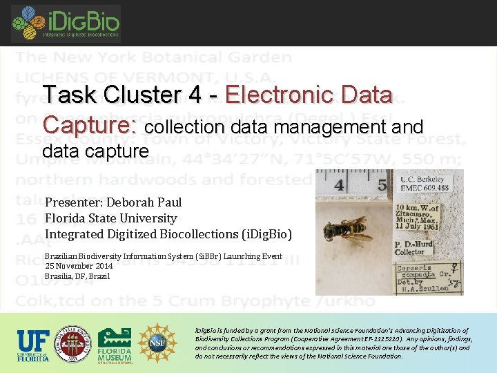 Task Cluster 4 - Electronic Data Capture: collection data management and data capture Presenter: