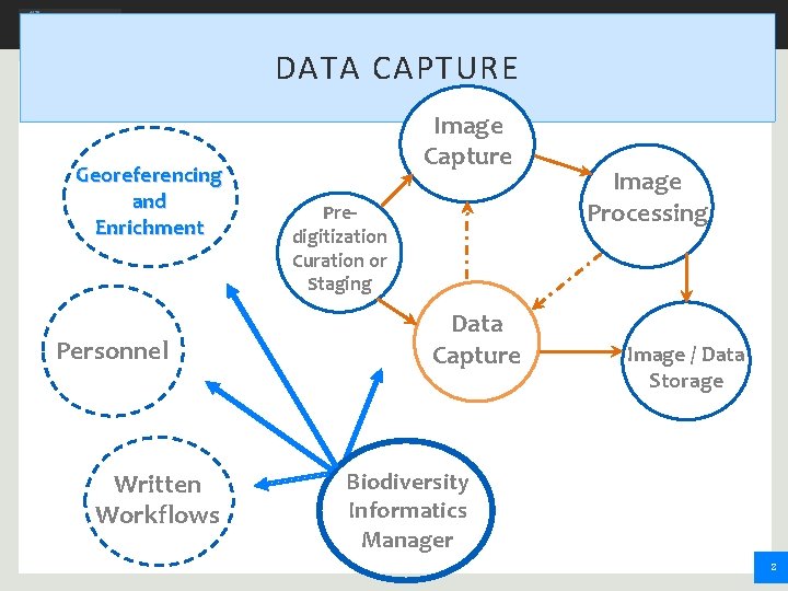 DATA CAPTURE Georeferencing and Enrichment Personnel Written Workflows Image Capture Predigitization Curation or Staging DATA CAPTURE Georeferencing and Enrichment Personnel Written Workflows Image Capture Predigitization Curation or Staging