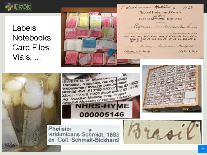 Labels Notebooks Card Files Vials, … 4 Labels Notebooks Card Files Vials, … 4