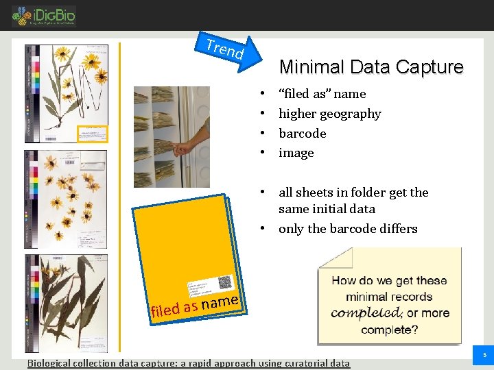 Tren d Minimal Data Capture • • “filed as” name higher geography barcode image Tren d Minimal Data Capture • • “filed as” name higher geography barcode image