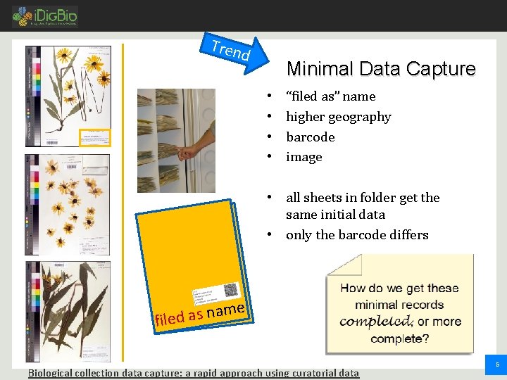 Tren d Minimal Data Capture • • “filed as” name higher geography barcode image