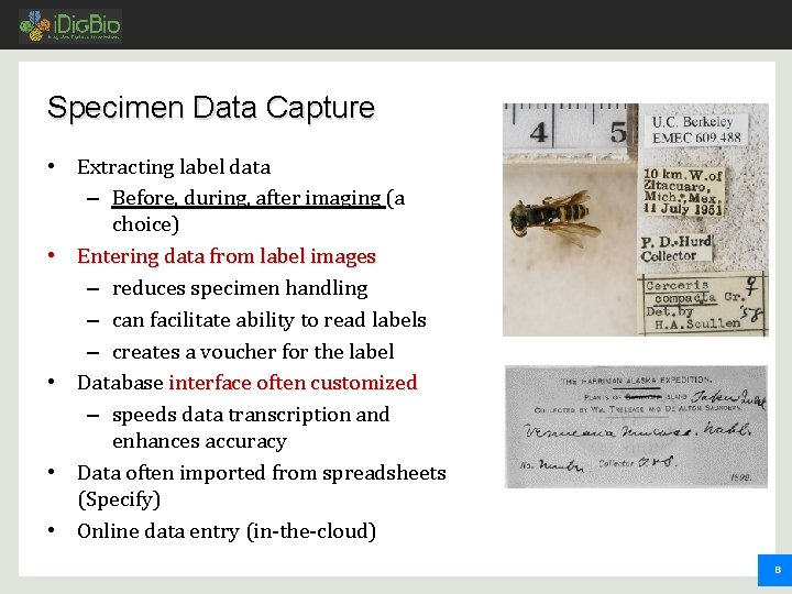 Specimen Data Capture • Extracting label data – Before, during, after imaging (a choice) Specimen Data Capture • Extracting label data – Before, during, after imaging (a choice)