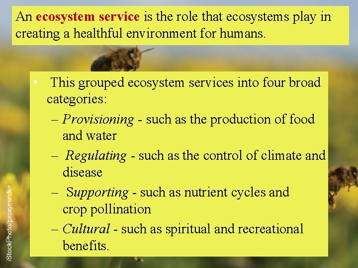 An ecosystem service is the role that ecosystems play in creating a healthful environment