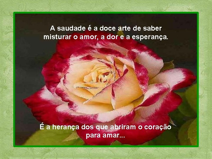 A saudade é a doce arte de saber misturar o amor, a dor e