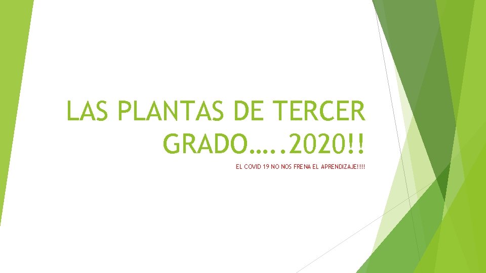 LAS PLANTAS DE TERCER GRADO…. . 2020!! EL COVID 19 NO NOS FRENA EL