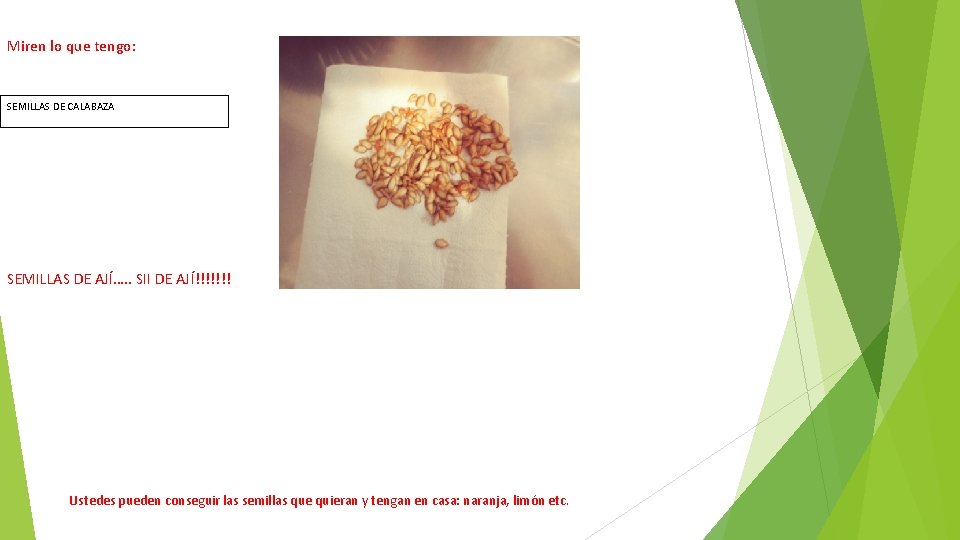 Miren lo que tengo: SEMILLAS DE CALABAZA SEMILLAS DE AJÍ…. . SII DE AJÍ!!!!!!!