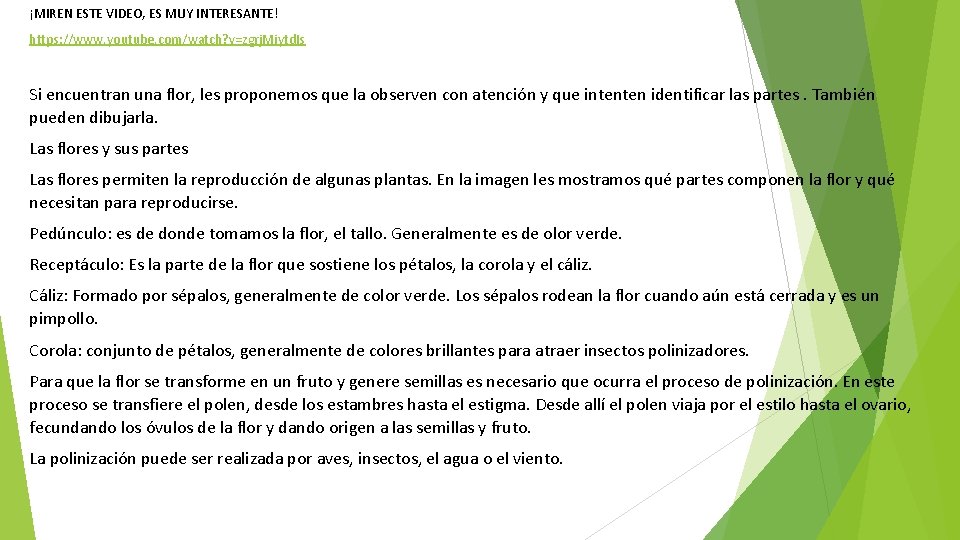 ¡MIREN ESTE VIDEO, ES MUY INTERESANTE! https: //www. youtube. com/watch? v=zgrj. Miytd. Is Si