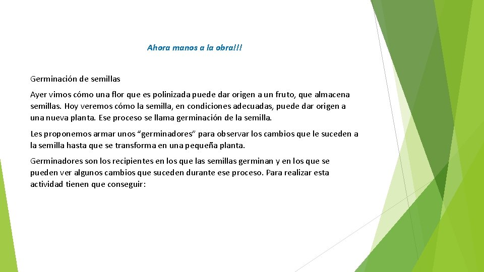 Ahora manos a la obra!!! Germinación de semillas Ayer vimos cómo una flor que