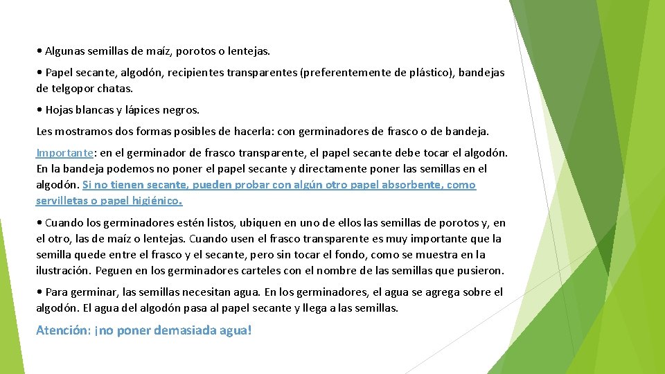  • Algunas semillas de maíz, porotos o lentejas. • Papel secante, algodón, recipientes