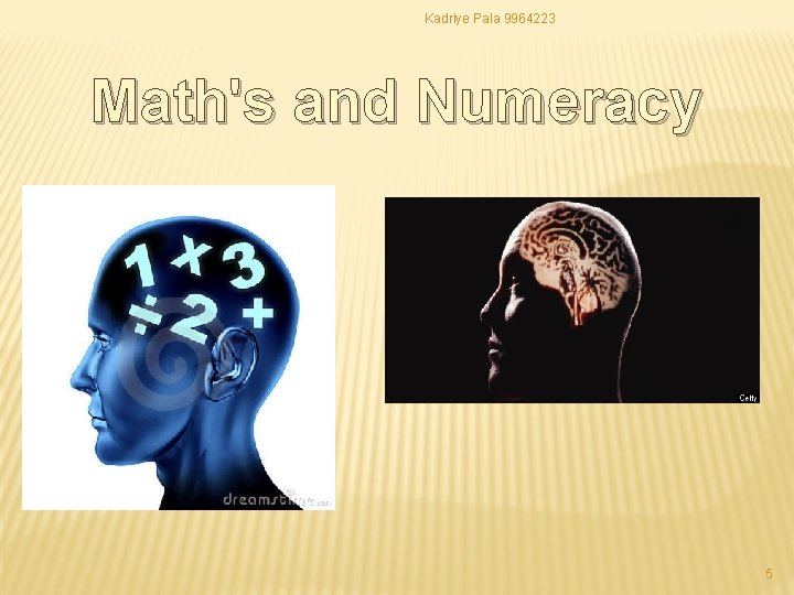 Kadriye Pala 9964223 Math's and Numeracy 5 Kadriye Pala 9964223 Math's and Numeracy 5