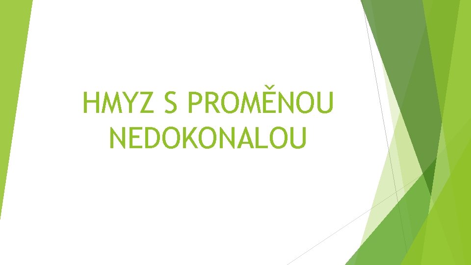 HMYZ S PROMĚNOU NEDOKONALOU 