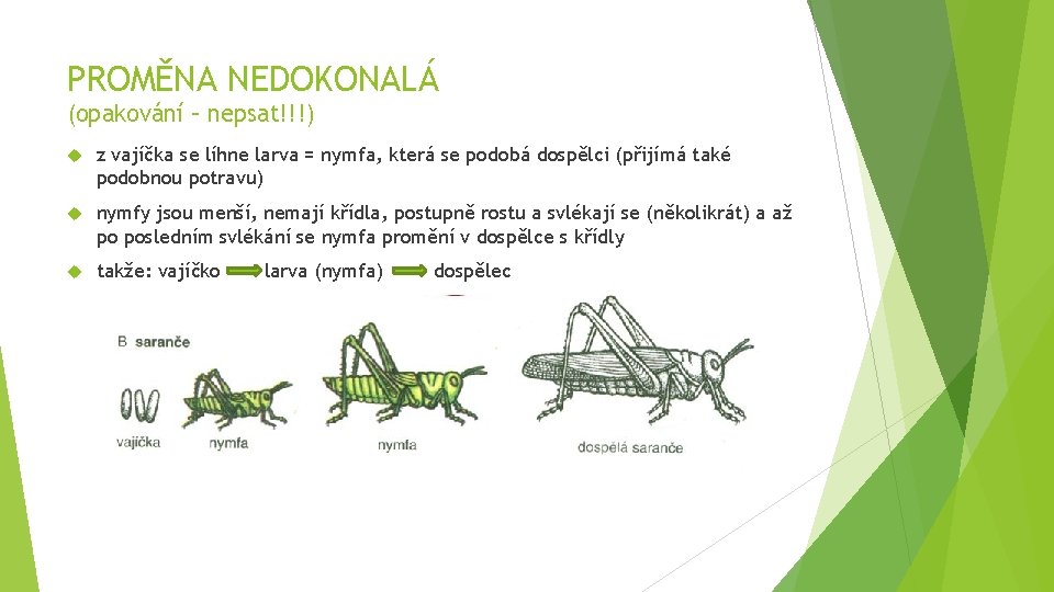 PROMĚNA NEDOKONALÁ (opakování – nepsat!!!) z vajíčka se líhne larva = nymfa, která se