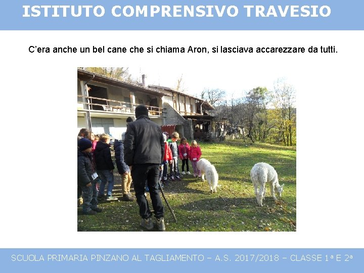 ISTITUTO COMPRENSIVO TRAVESIO C’era anche un bel cane che si chiama Aron, si lasciava