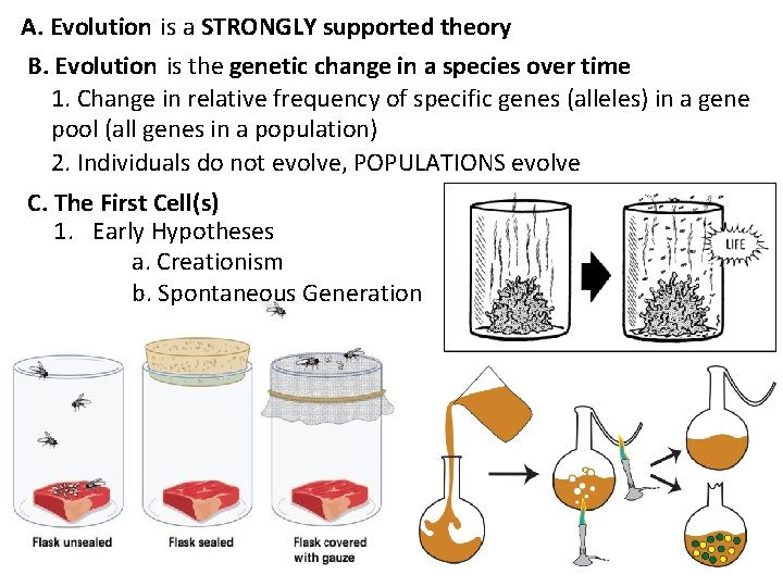 EVOLUTION A Evolution is a STRONGLY supported theory