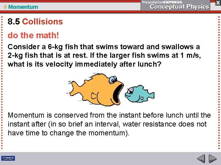 8 Momentum 8. 5 Collisions do the math! Consider a 6 -kg fish that