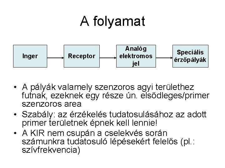 A folyamat Inger Receptor Analóg elektromos jel Speciális érzőpályák • A pályák valamely szenzoros