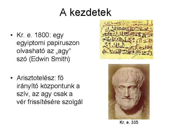 A kezdetek • Kr. e. 1800: egyiptomi papiruszon olvasható az „agy” szó (Edwin Smith)