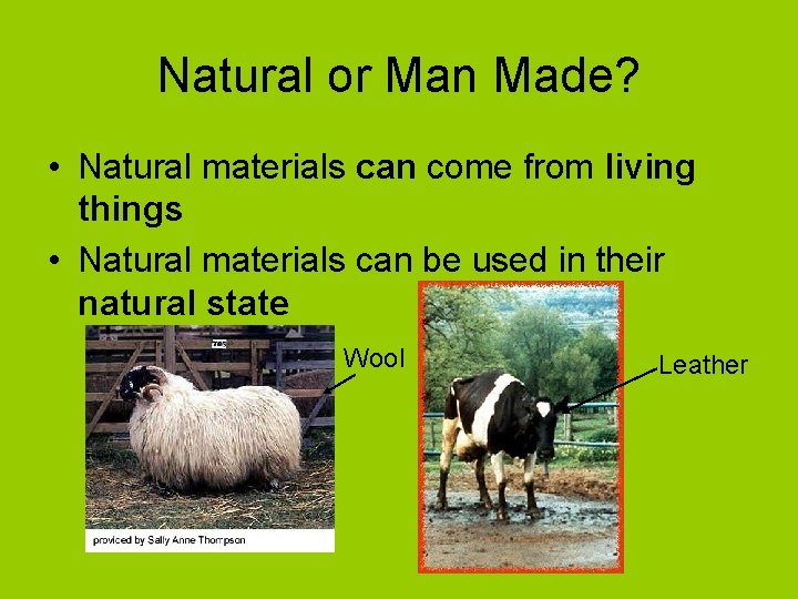 Natural or Man Made? • Natural materials can come from living things • Natural Natural or Man Made? • Natural materials can come from living things • Natural