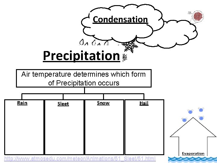 Condensation Precipitation Air temperature determines which form of Precipitation occurs Rain Sleet Snow Hail