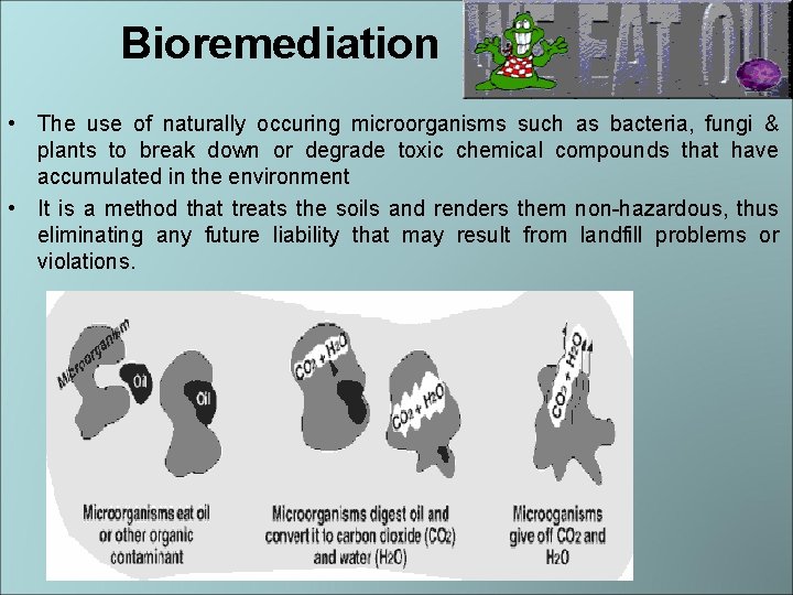 Bioremediation • The use of naturally occuring microorganisms such as bacteria, fungi & plants