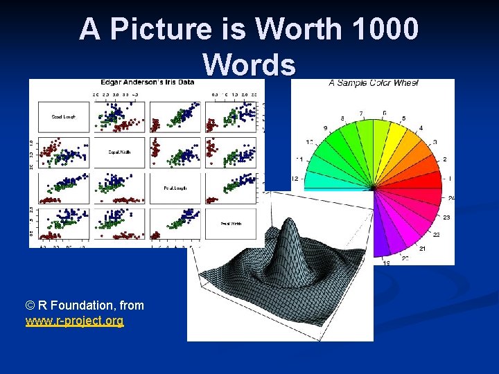 A Picture is Worth 1000 Words © R Foundation, from www. r-project. org 
