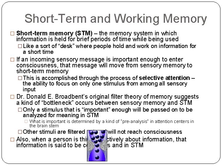 Short-Term and Working Memory � Short-term memory (STM) – the memory system in which