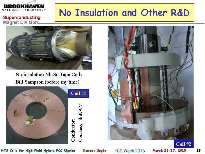 Superconducting Magnet Division No Insulation and Other R&D No-insulation Nb 3 Sn Tape Coils