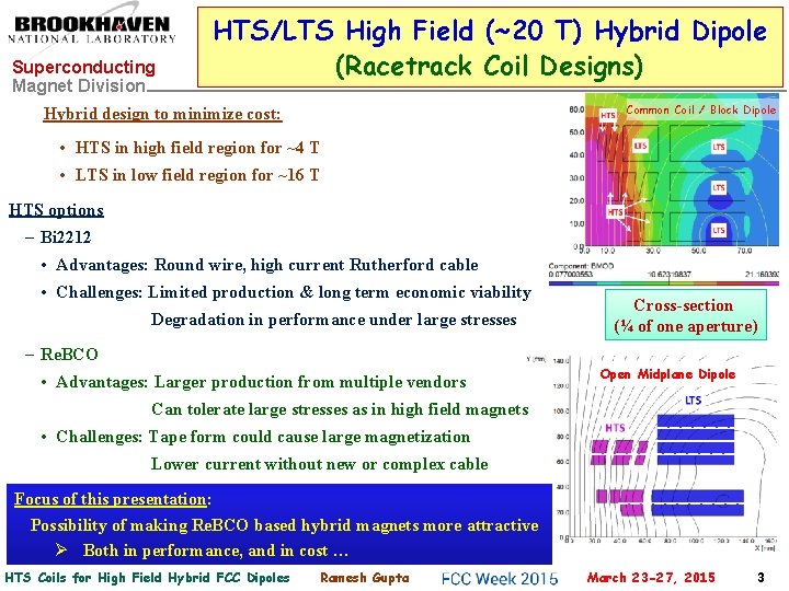 Superconducting Magnet Division HTS/LTS High Field (~20 T) Hybrid Dipole (Racetrack Coil Designs) Common