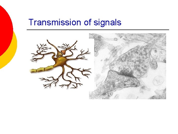 Transmission of signals 