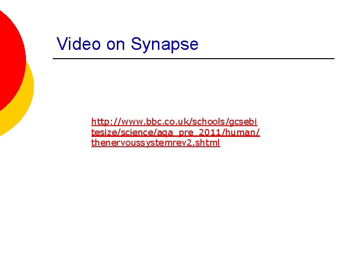 Video on Synapse http: //www. bbc. co. uk/schools/gcsebi tesize/science/aqa_pre_2011/human/ thenervoussystemrev 2. shtml 