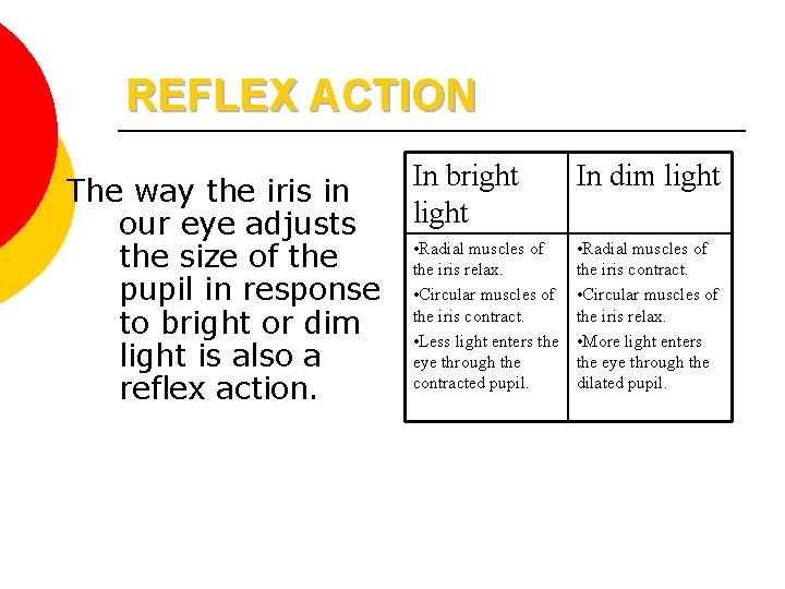 REFLEX ACTION The way the iris in our eye adjusts the size of the