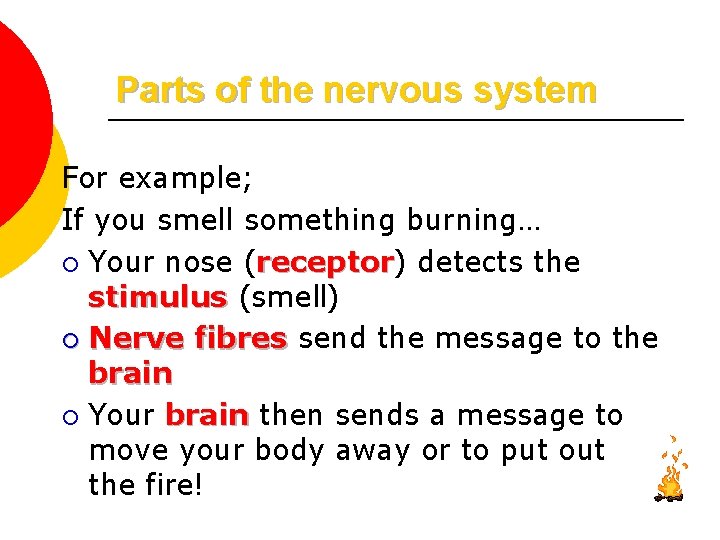 Parts of the nervous system For example; If you smell something burning… ¡ Your