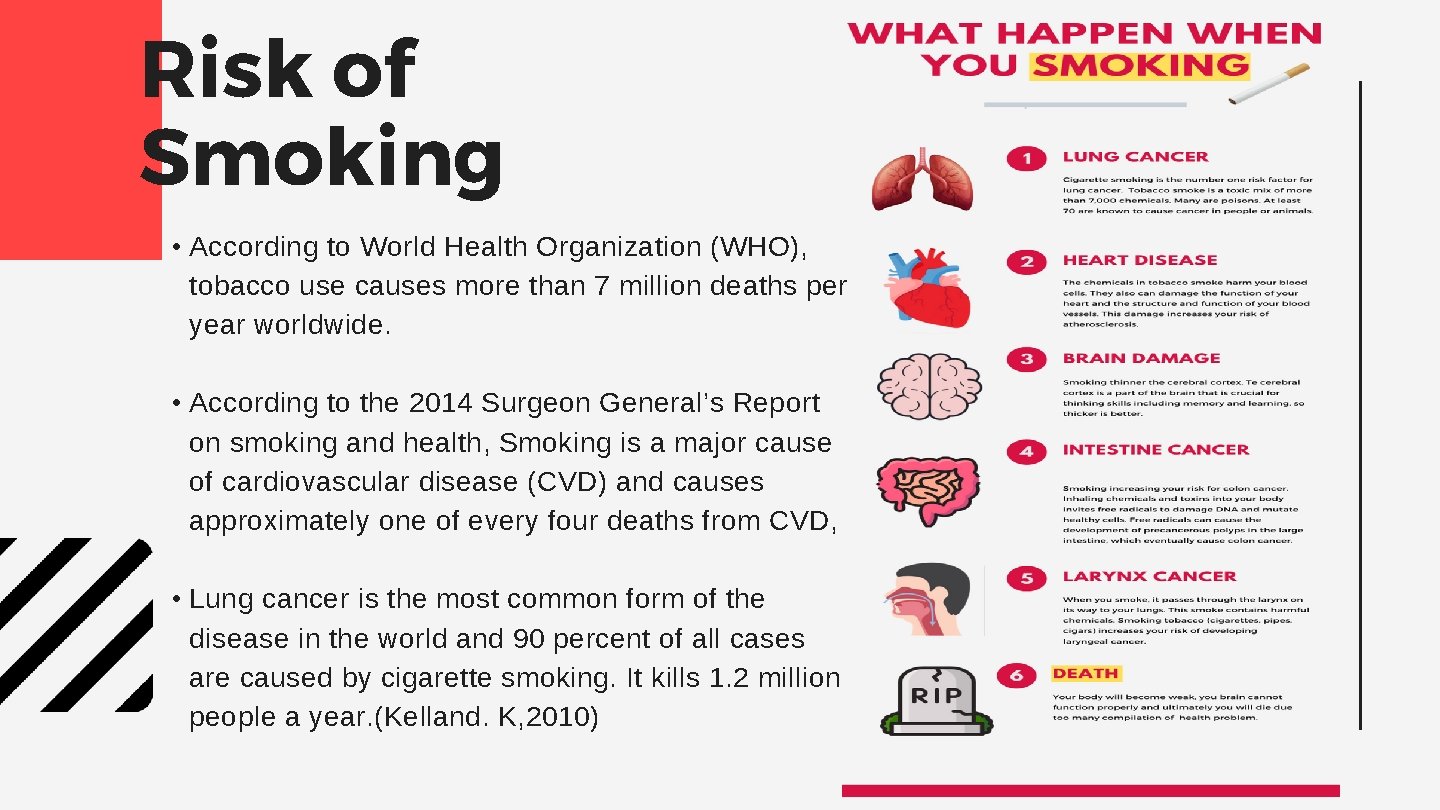 Risk of Smoking • According to World Health Organization (WHO), tobacco use causes more