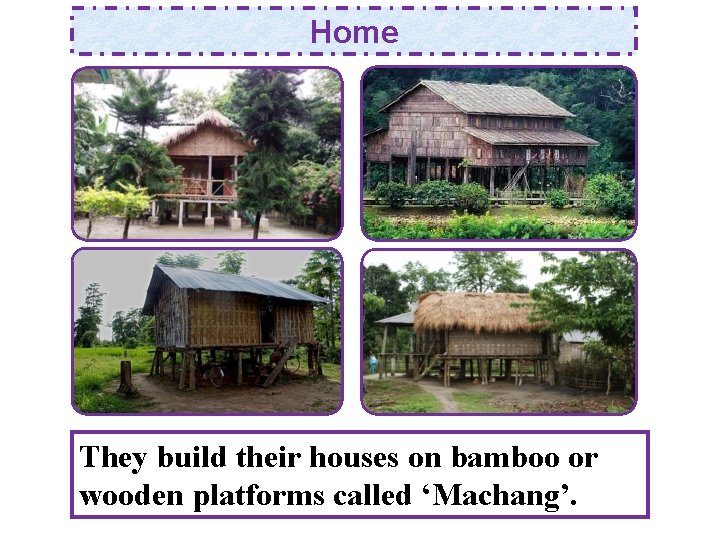 Home They build their houses on bamboo or wooden platforms called ‘Machang’. 