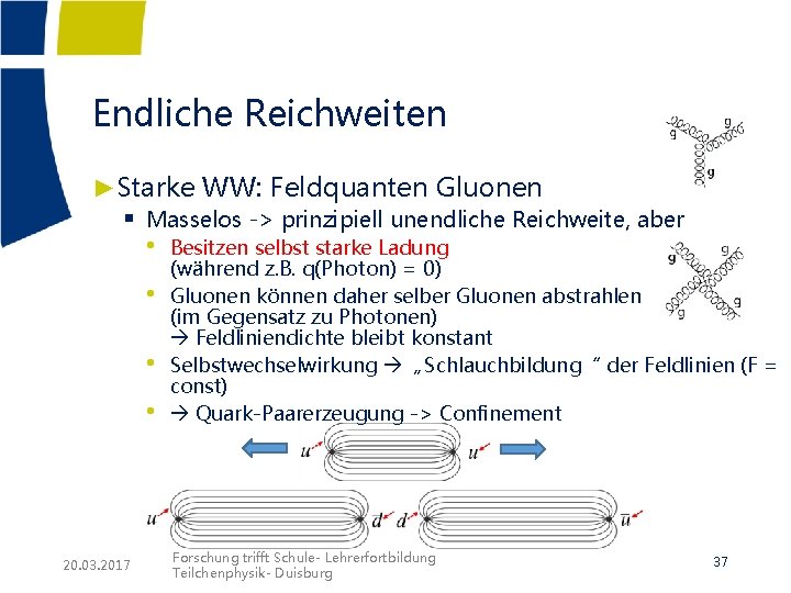 Endliche Reichweiten ►Starke WW: Feldquanten Gluonen § Masselos -> prinzipiell unendliche Reichweite, aber • Endliche Reichweiten ►Starke WW: Feldquanten Gluonen § Masselos -> prinzipiell unendliche Reichweite, aber •