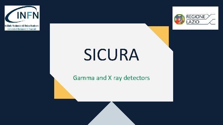 SICURA Gamma and X ray detectors 