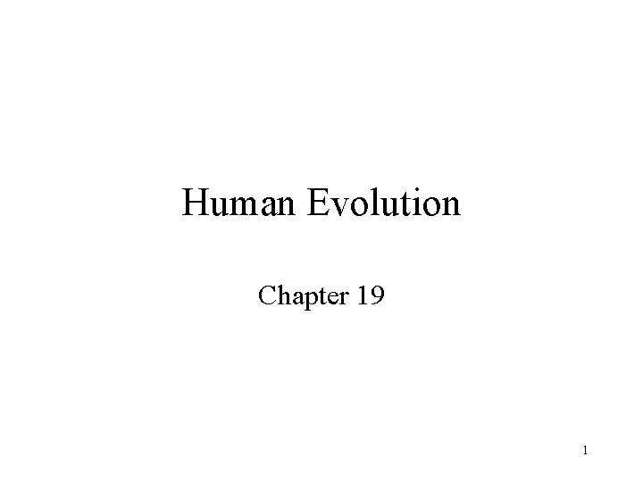 Human Evolution Chapter 19 1 