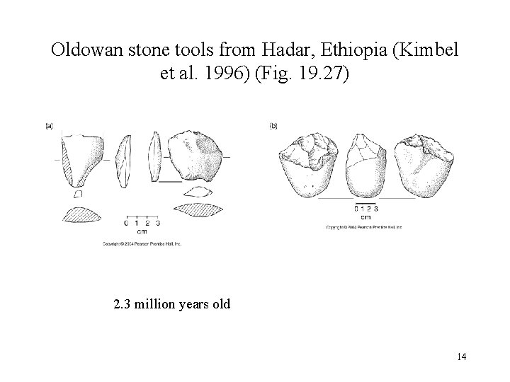 Oldowan stone tools from Hadar, Ethiopia (Kimbel et al. 1996) (Fig. 19. 27) 2.