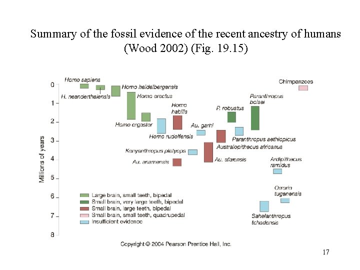 Summary of the fossil evidence of the recent ancestry of humans (Wood 2002) (Fig.