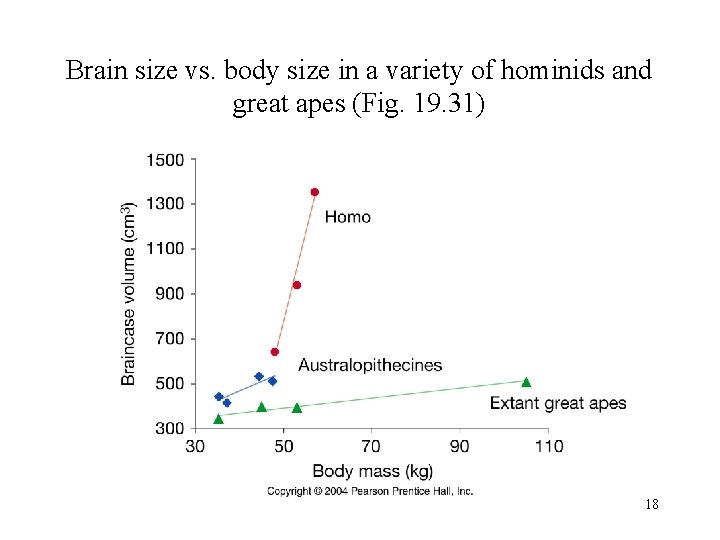 Brain size vs. body size in a variety of hominids and great apes (Fig.