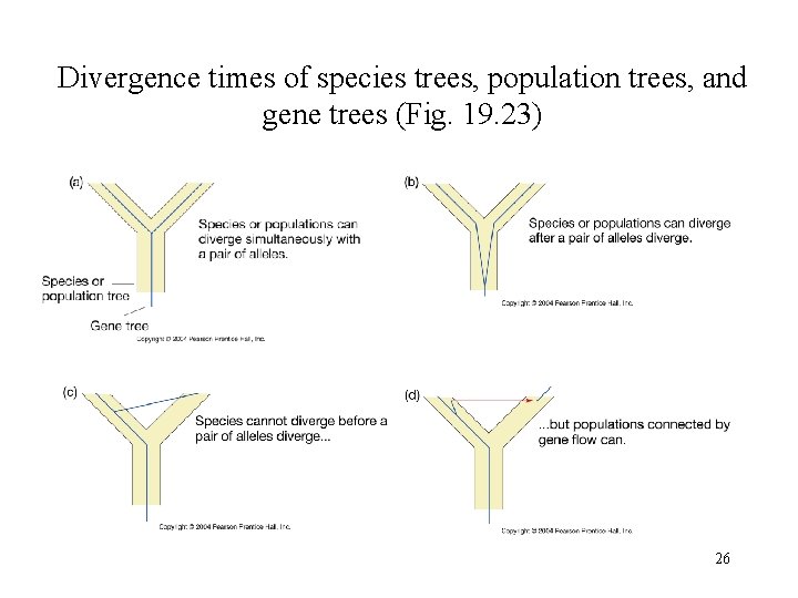 Divergence times of species trees, population trees, and gene trees (Fig. 19. 23) 26