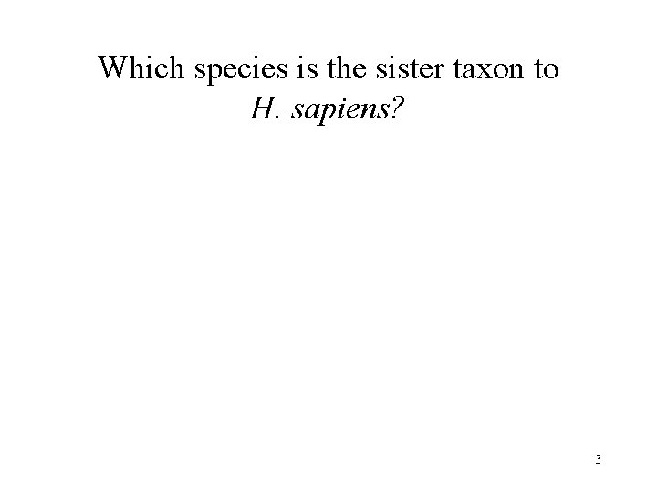 Which species is the sister taxon to H. sapiens? 3 