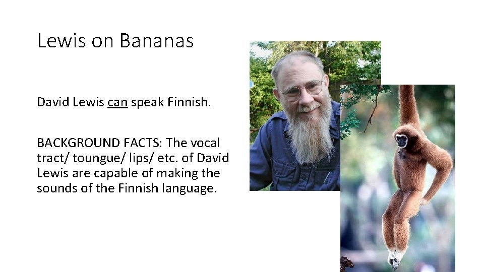 Lewis on Bananas David Lewis can speak Finnish. BACKGROUND FACTS: The vocal tract/ toungue/